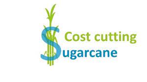 CostCutting4SugarCane