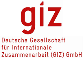 giz logo