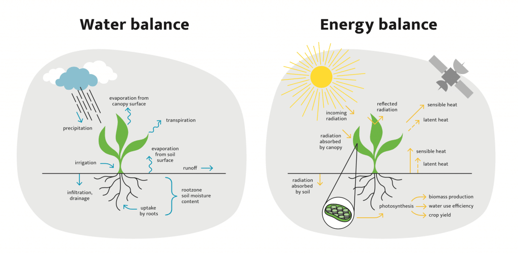 Water and energy balance